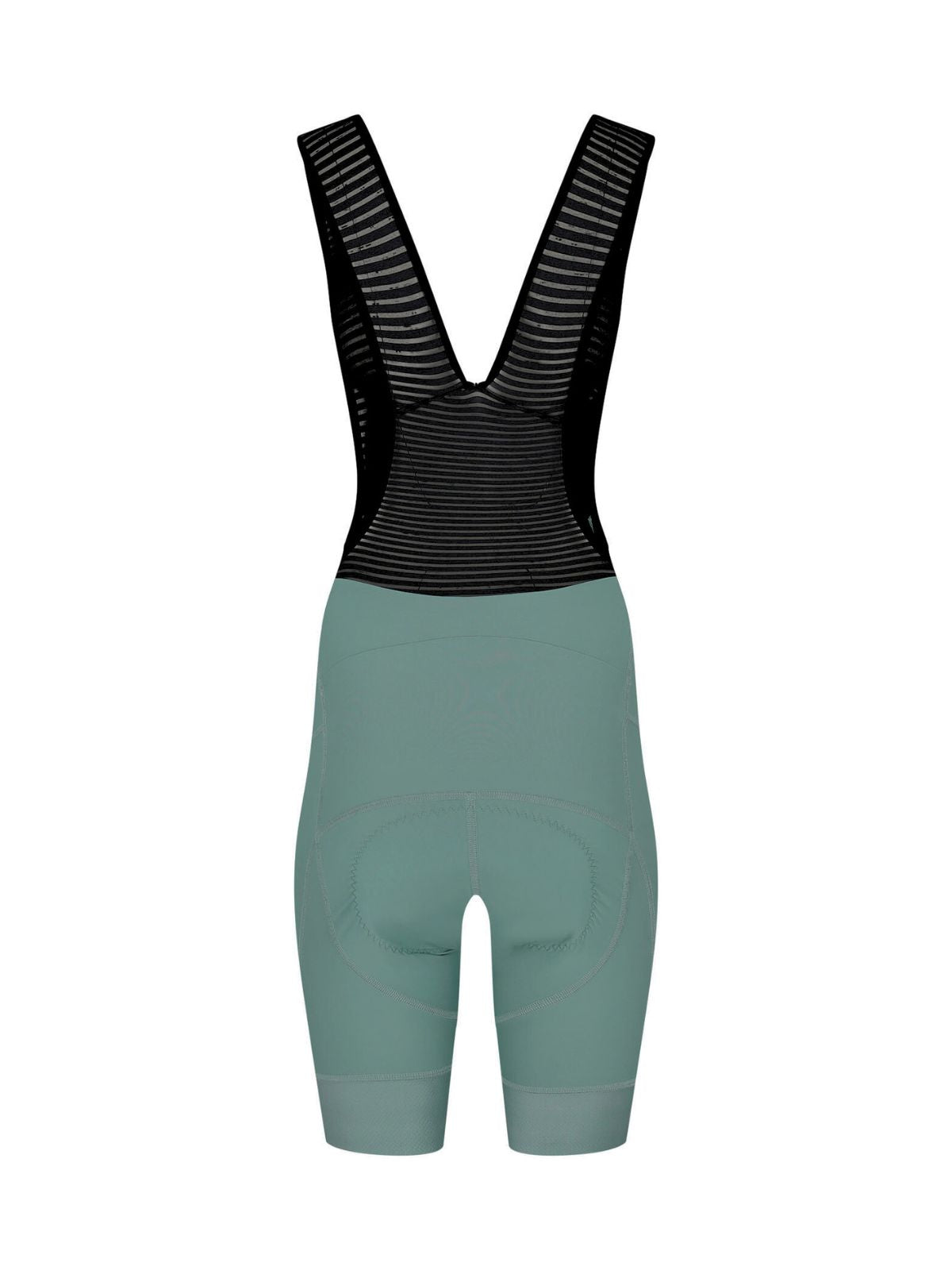 Icon Bibshorts Evergreen