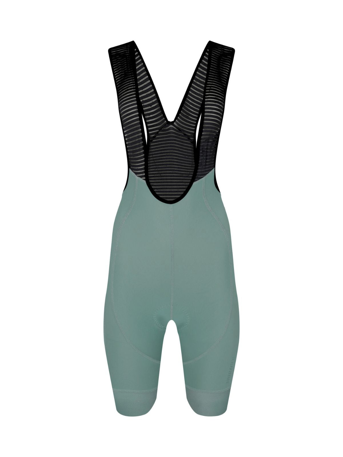 Icon Bibshorts Evergreen