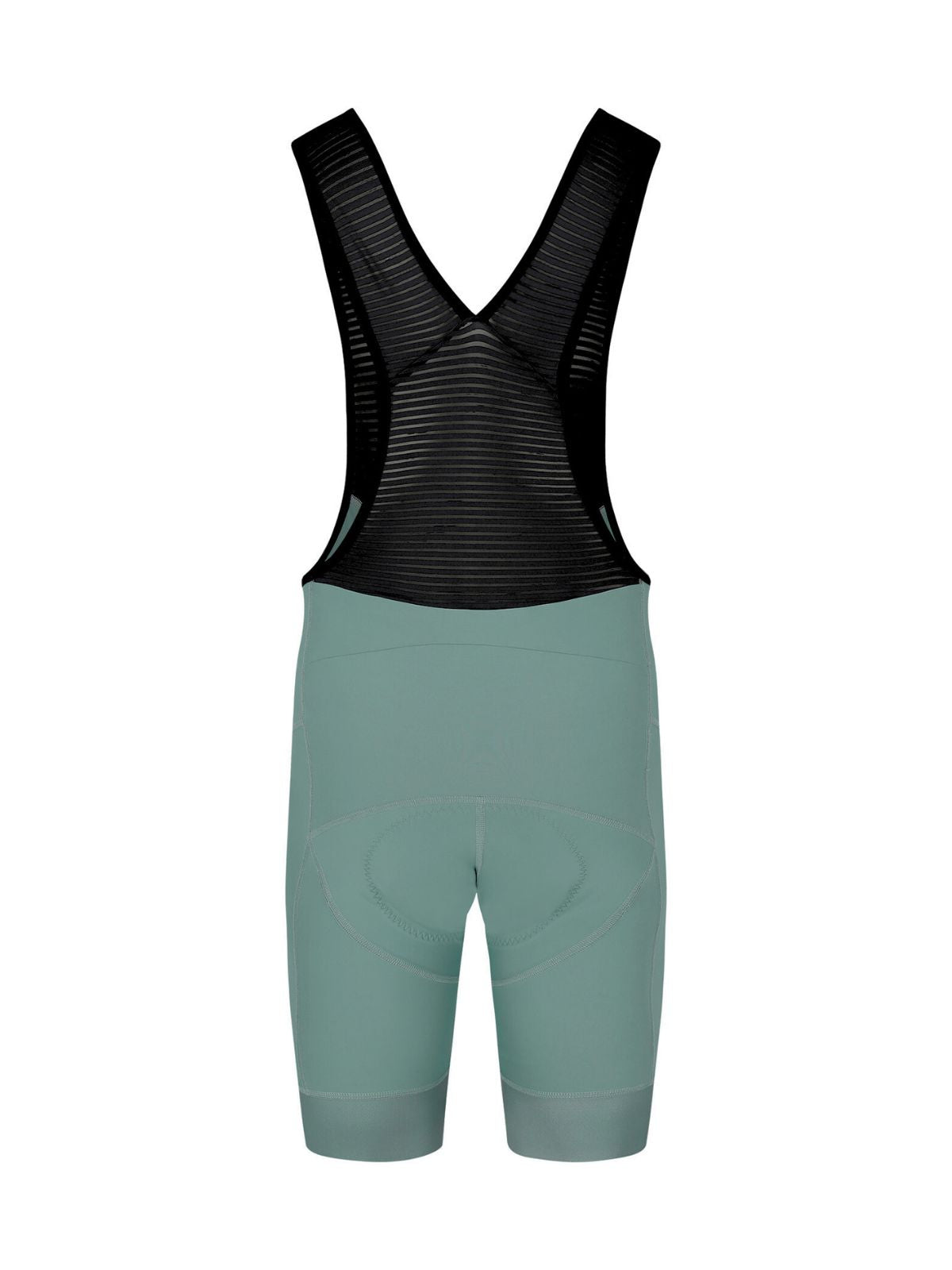 Icon Bibshorts Evergreen