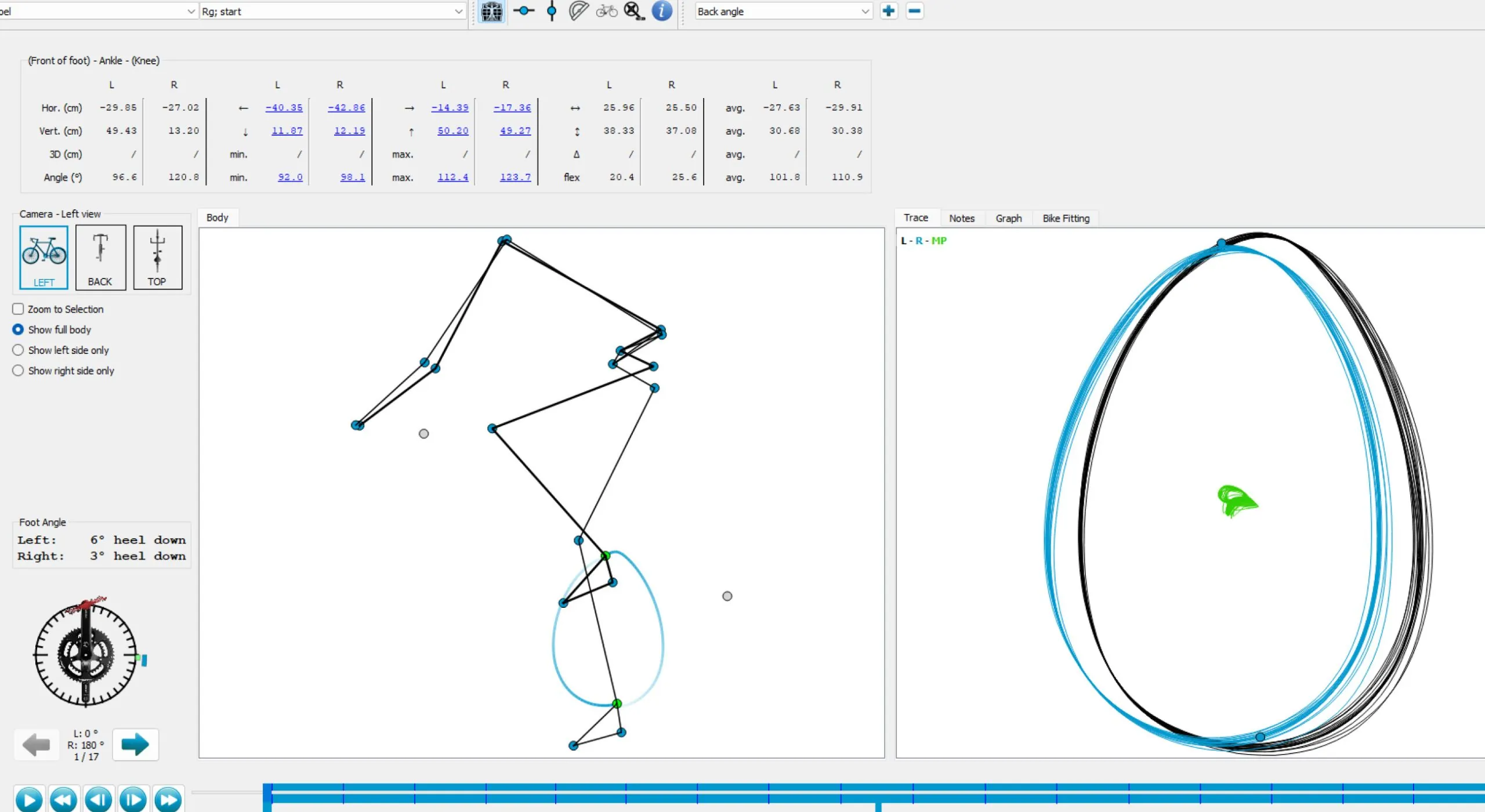 bioracer motion analysis